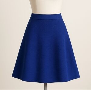 Ann Taylor Royal Blue A-Line Skirt Size Small